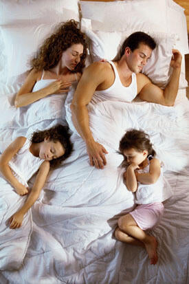 🔥 BUG SMITE: A Arma Implacável Contra os Insetos Voadores! Dropea